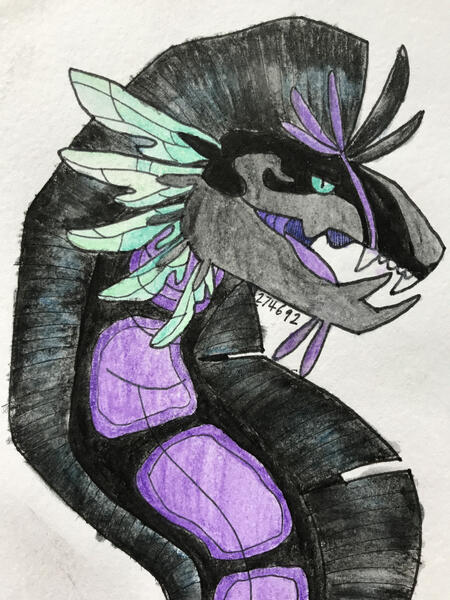 Watercolor pencil and ink headshot.